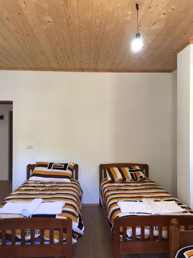 Elvis Blini Thethi Otel Dış mekan fotoğraf