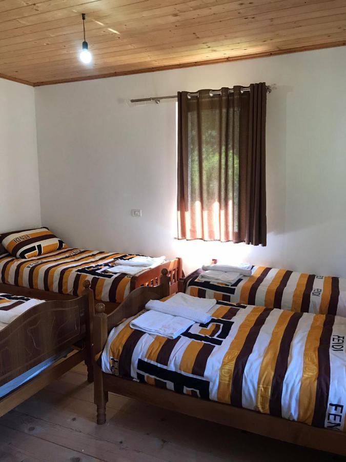 Elvis Blini Thethi Otel Dış mekan fotoğraf