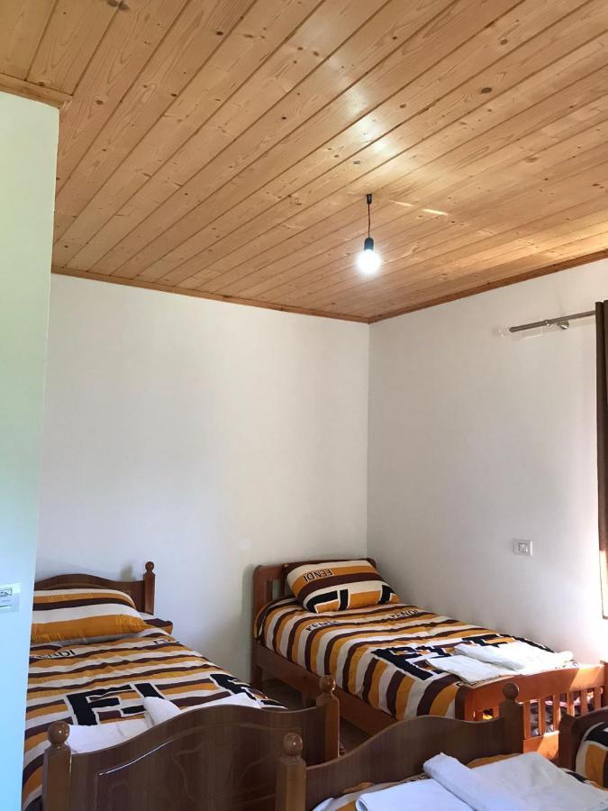 Elvis Blini Thethi Otel Dış mekan fotoğraf