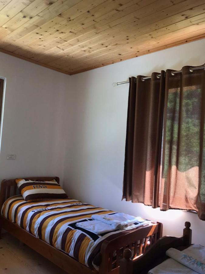 Elvis Blini Thethi Otel Dış mekan fotoğraf