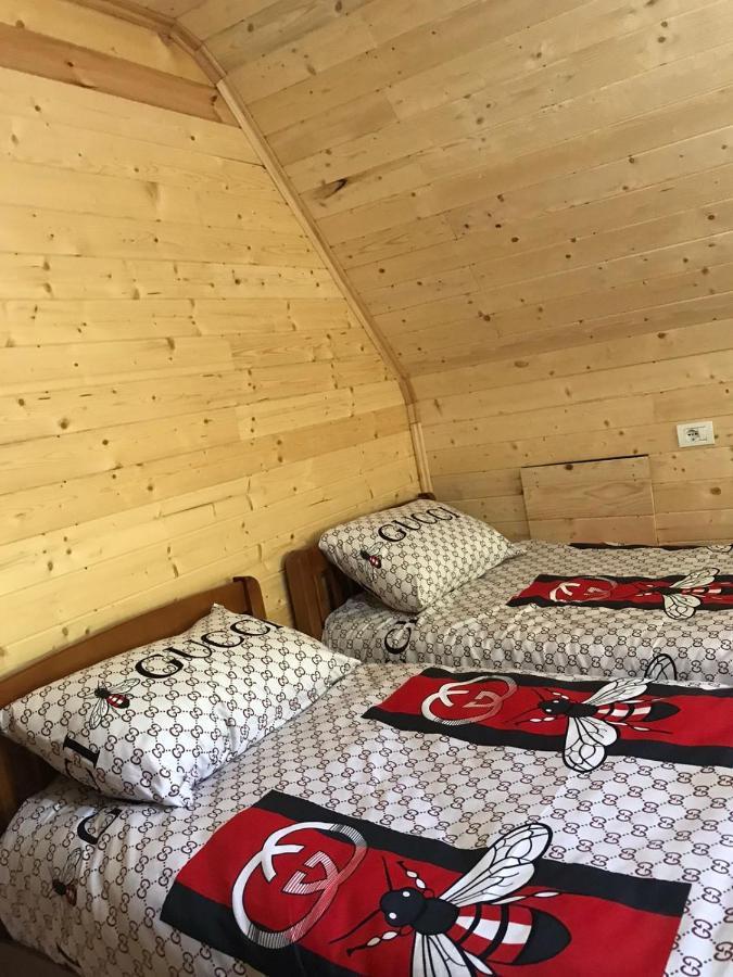 Elvis Blini Thethi Otel Dış mekan fotoğraf