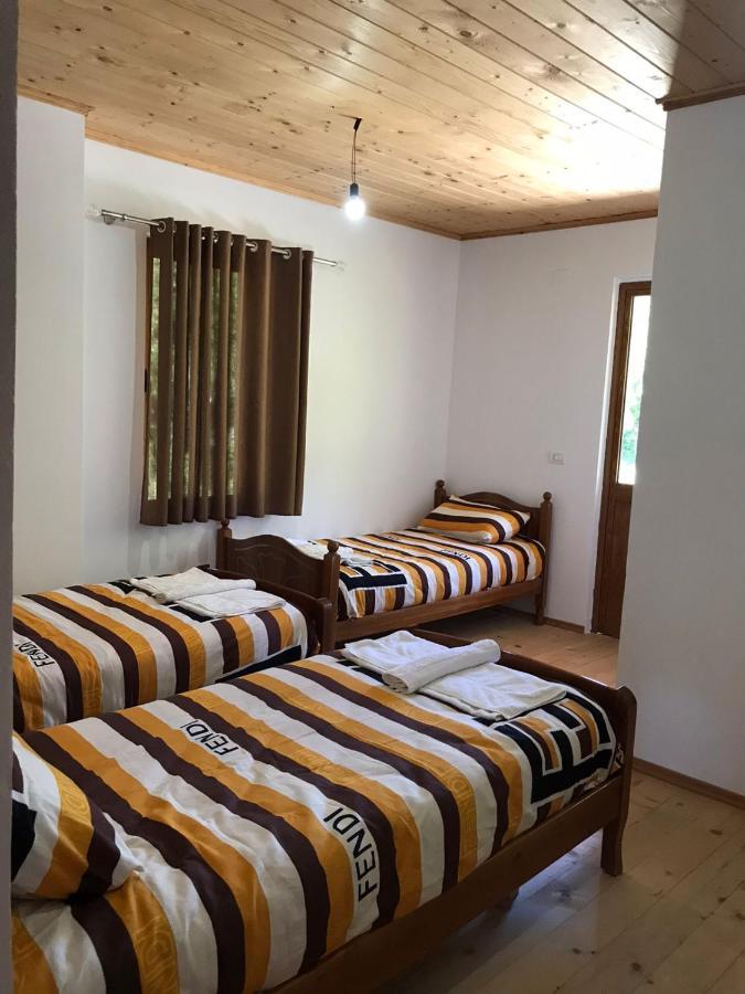 Elvis Blini Thethi Otel Dış mekan fotoğraf