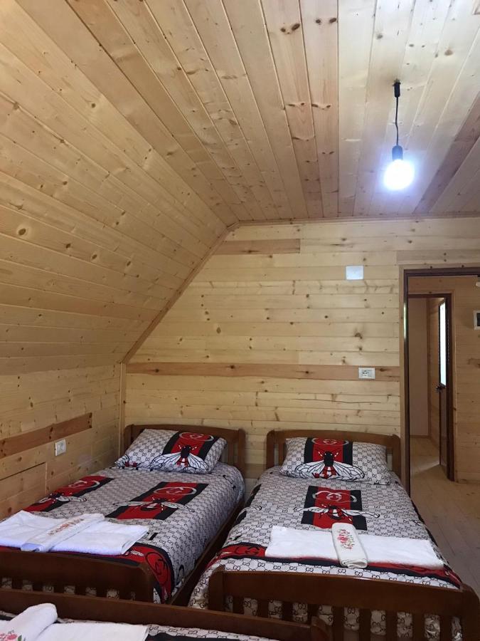 Elvis Blini Thethi Otel Dış mekan fotoğraf