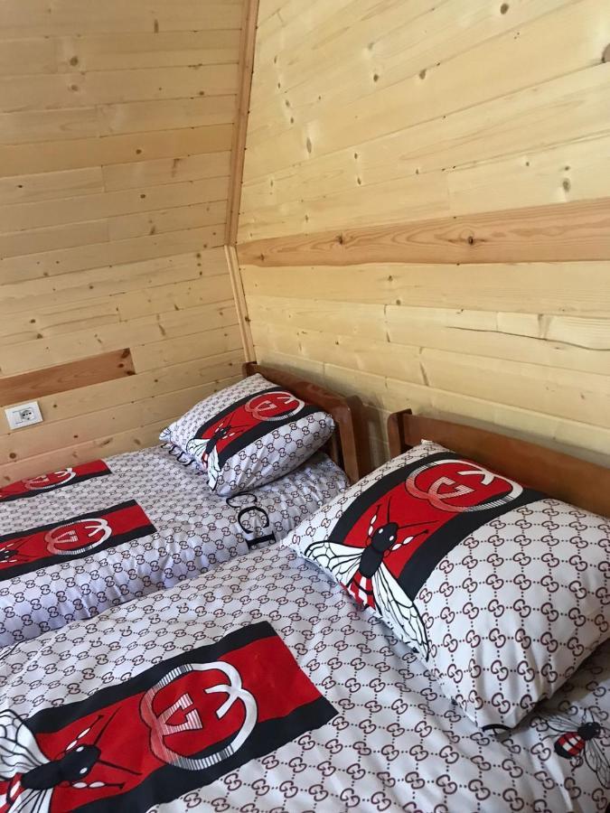 Elvis Blini Thethi Otel Dış mekan fotoğraf
