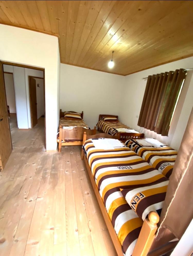 Elvis Blini Thethi Otel Dış mekan fotoğraf